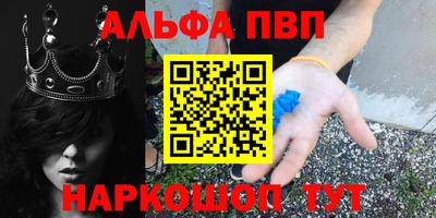стаф Владимир