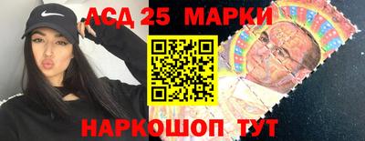 прущие грибы Сланцы