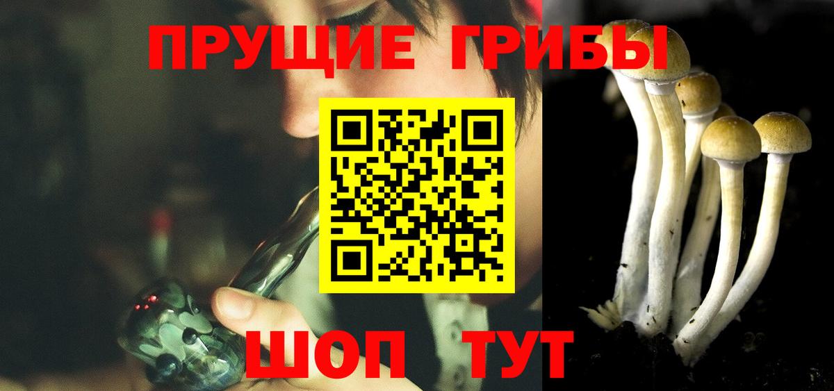 Псилоцибиновые грибы мухоморы Новочеркасск