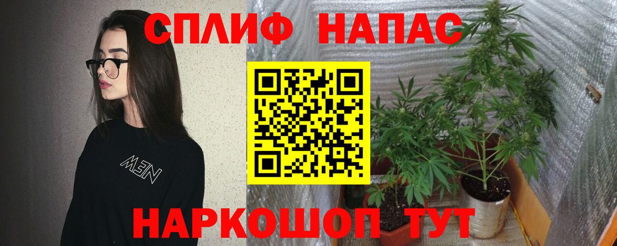 Бошки марихуана Bruce Banner  Шишки марихуана VHQ  Бошки Шишки семена  Вход с VPN  Марихуана индика  Новочеркасск 