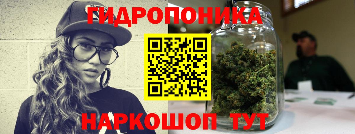 Бошки марихуана сатива Новочеркасск